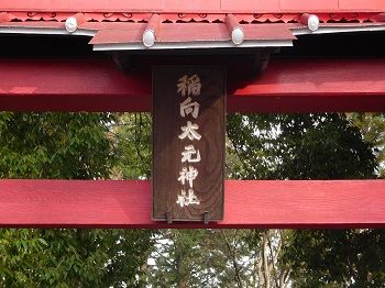 DSCN5613 (2)