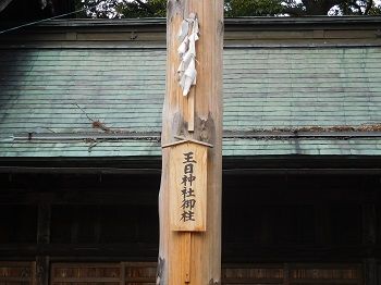 DSCN5574