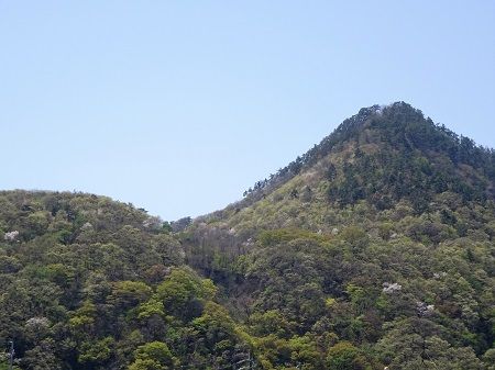 DSC00564 (2)