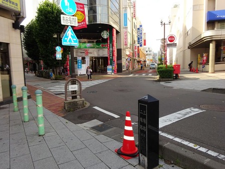 DSC04513 (2)