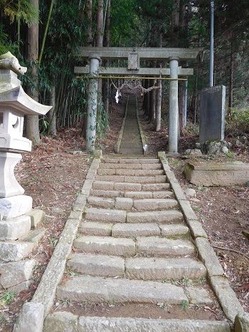 DSCN5889