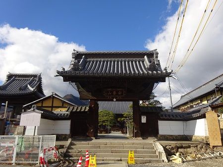 DSC05909 (2)