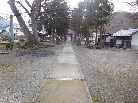 DSCN5790