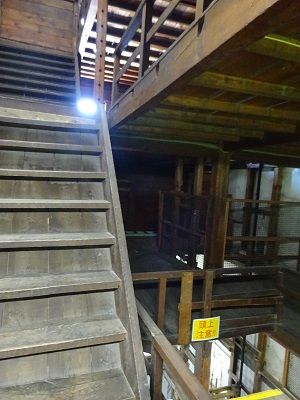 DSC03980