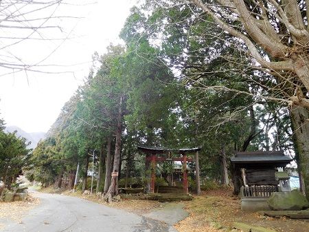 DSCN5452 (3)
