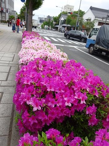 DSC03584 (2)