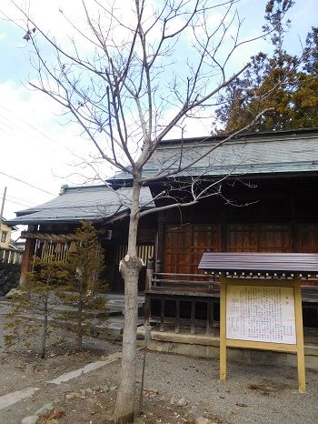 DSCN5586