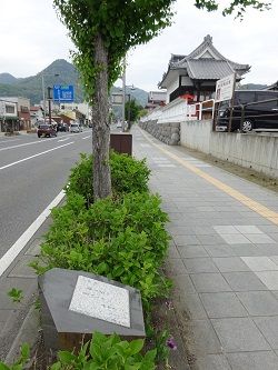 DSC03562 (2)