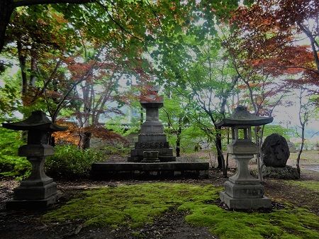 DSC04589 (2)