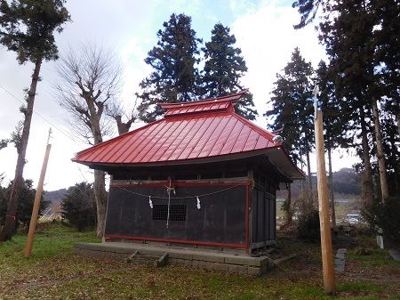 DSCN5550