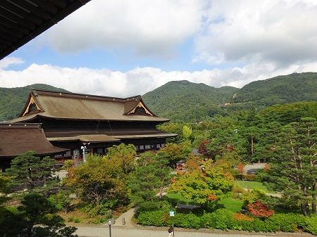 DSC05749 (2)