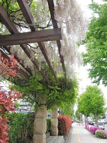 DSC03579 (2)