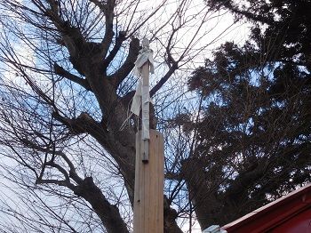 DSCN5557 (2)