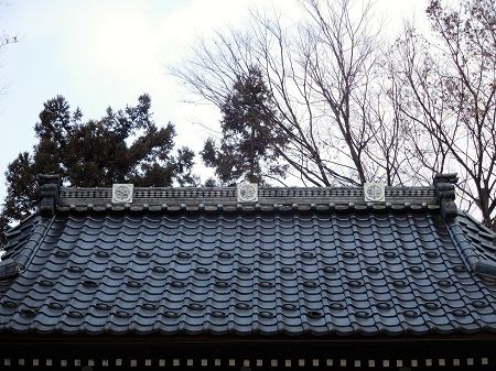 DSCN5656 (2)