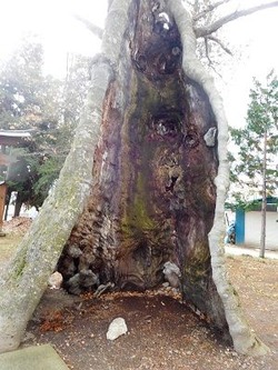 DSCN5800 (2)