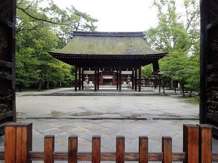 DSC02104 (2)