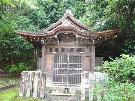 DSC02059 (2)