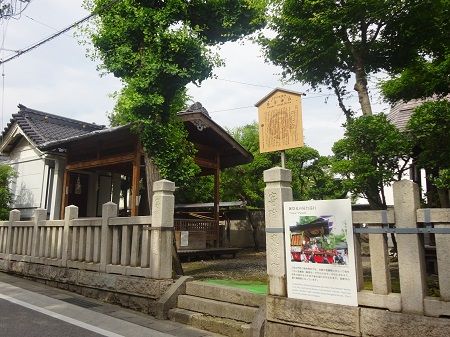 DSC04555 (2)