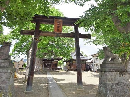 DSC04433 (2)