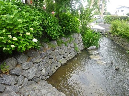 DSC01169