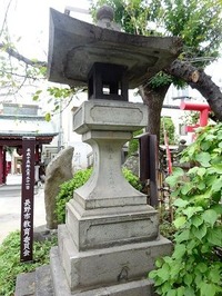 DSC05632 (2)