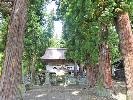 DSC05440 (2)