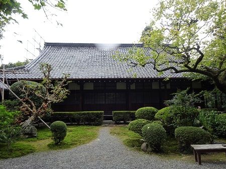 DSC02037 (2)