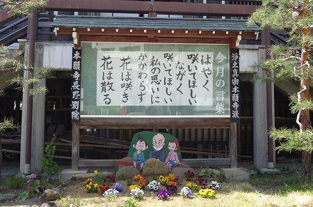 DSC03358 (3)