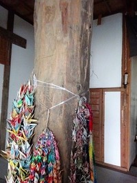 DSC05526 (2)