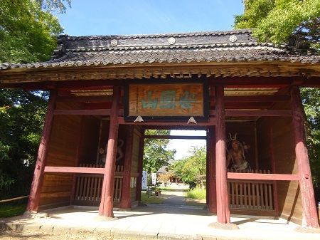 DSC05816 (2)