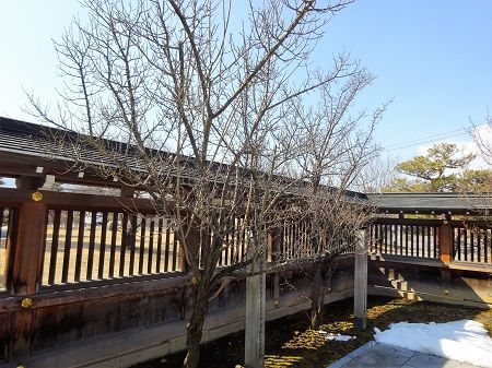 DSC05941 (2)