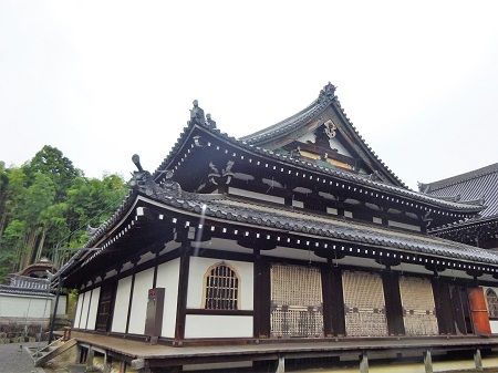 DSC02051 (2)