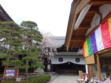 DSC00469 (2)