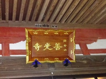 DSC03241 (2)