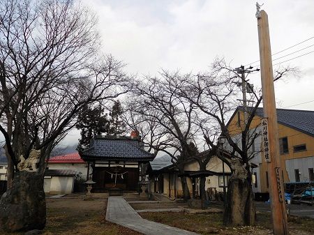 DSCN5651 (2)