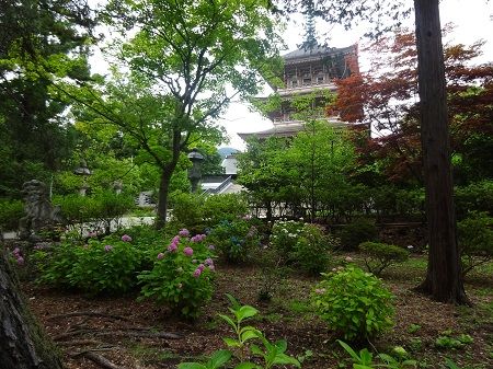 DSC04583 (2)