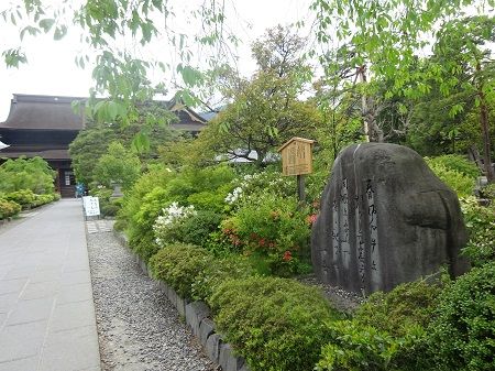 DSC03761 (2)