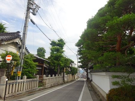 DSC04569 (2)