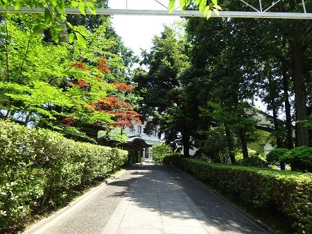 DSC04343