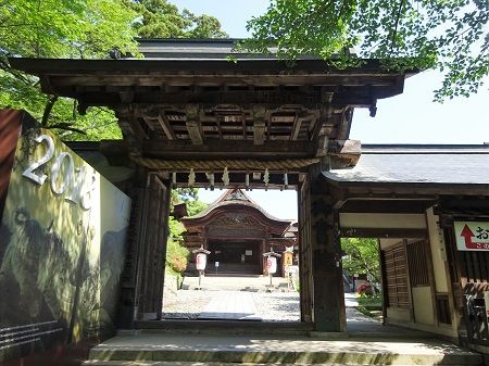 DSC04285 (2)