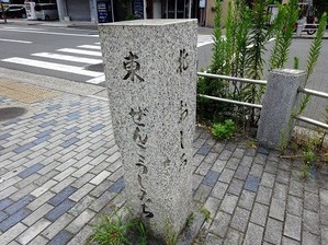 DSC04982 (2)