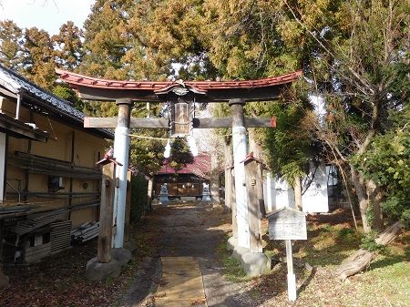DSCN5596 (2)
