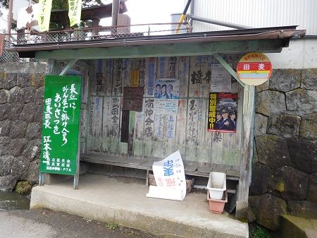 DSCN5571