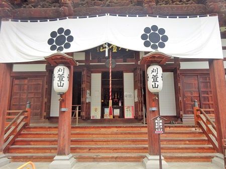 DSC05358 (3)