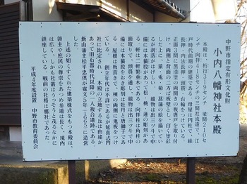 DSCN6049 (3)