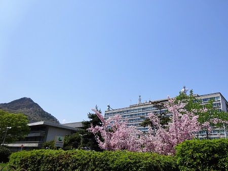 DSC00601 (2)