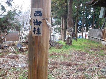 DSCN5435