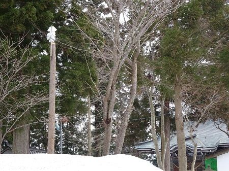DSC00096 (2)