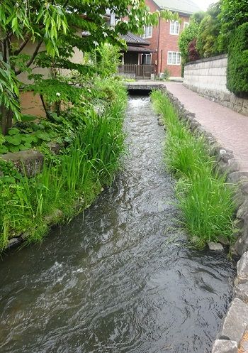 DSC01165 (2)
