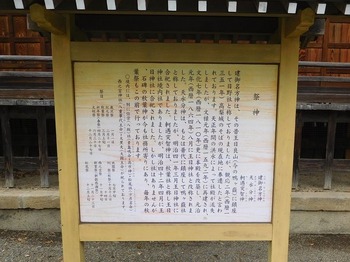 DSCN5580 (3)